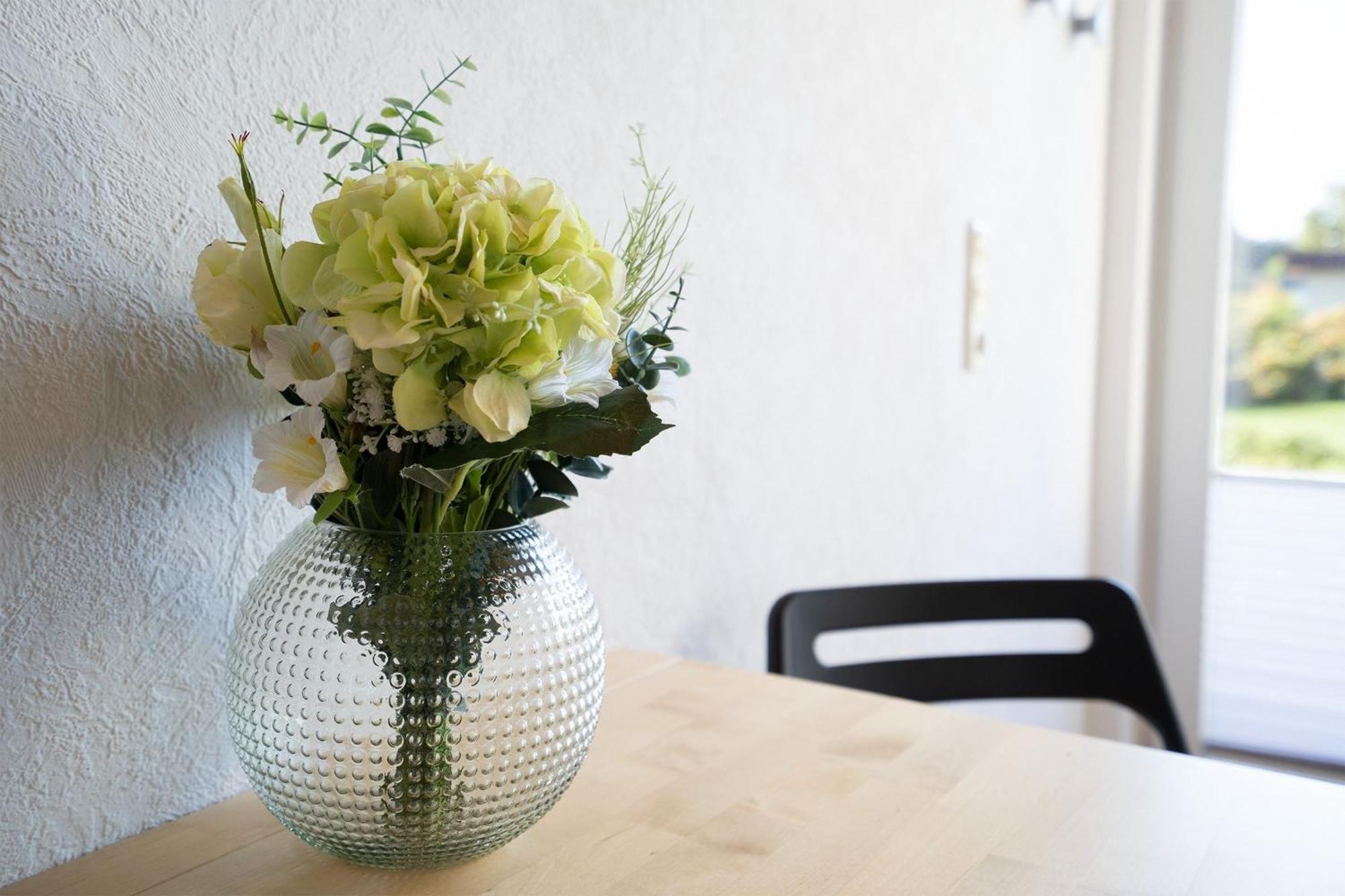 Blankwasserweg 131 Lensterstrand Oase Bungalow 3 외부 사진